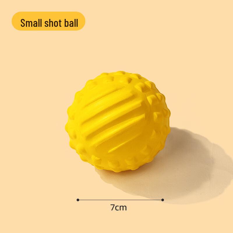 EVA Pet Dog Training Balls