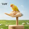Cage Mount Bird Perches Hand-Shaped Parrot Perch Stand, Non-Slip Easy Install Stand Perches, Desensitization Interactive Training Toy, Accessories