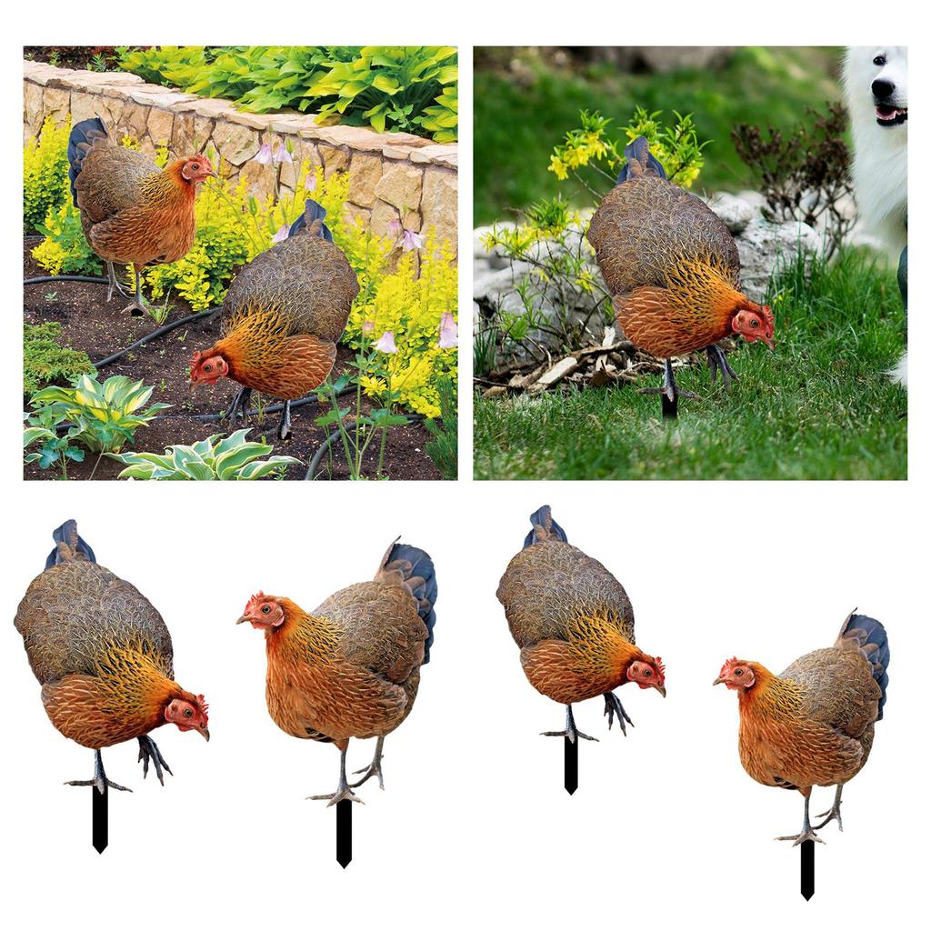 Rooster Yard Stake Hen Realistic Chicken Sculpture for Farm Pathway Patio