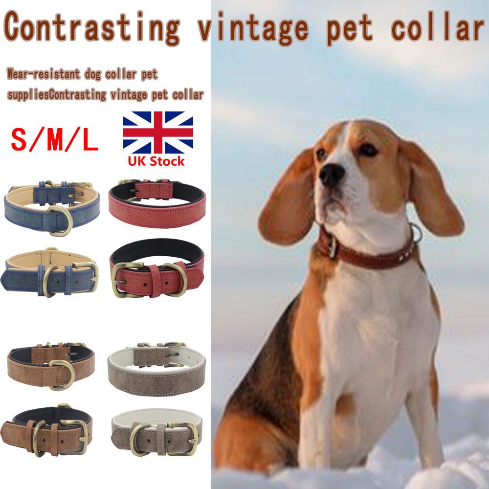 Buy Quality Leather Dog Collar Metal Buckle Soft Padded Small, Medium
