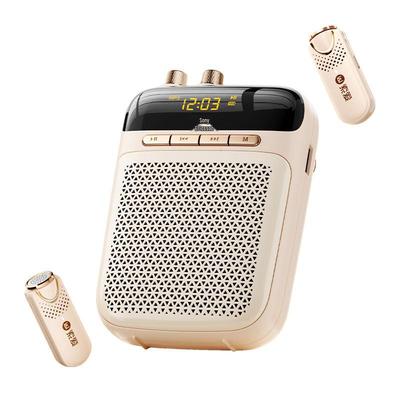 Soaiy S-318Pro Wireless Dual-Mic Lavalier Amplifier Speaker CN Plug (adapter Included)