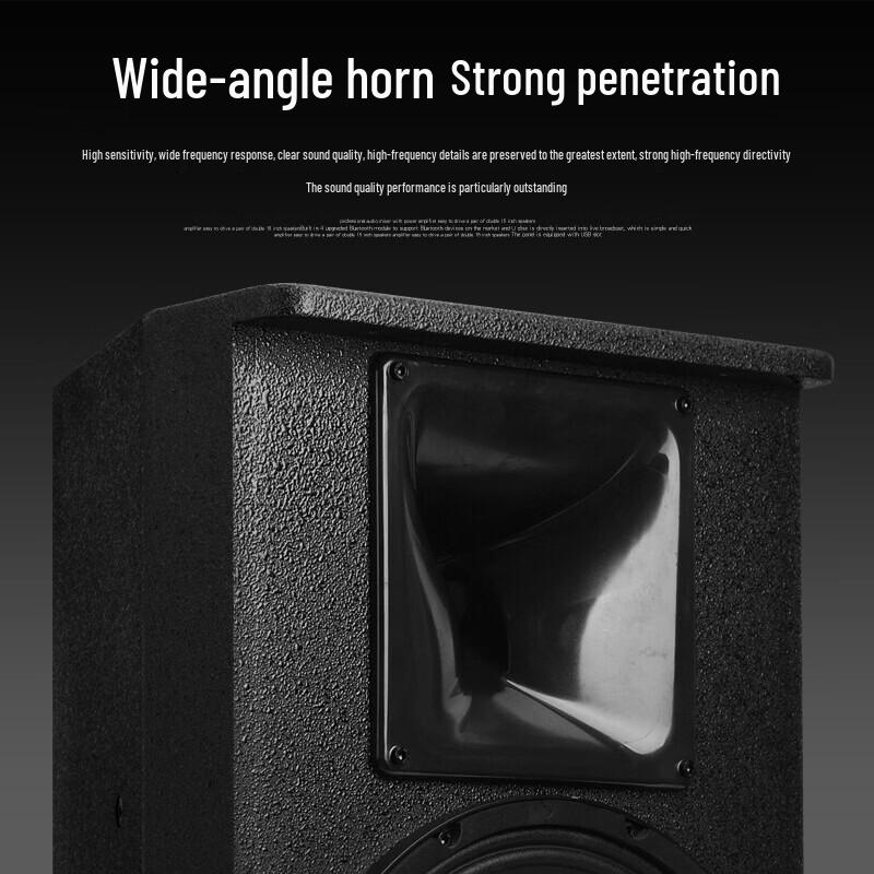 KAXISAIER Professional Full-Range Passive Speaker CN Plug (adapter Included)