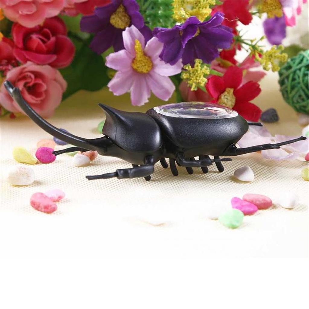 Solar Kakerlake Spielzeug - Solarbetriebenes Insekt Für Kinder Ab 6 Jahren