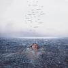 CD - Shawn Mendes - Wonder