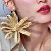 Elegant Straw Woven Earrings Bohemian Style Hollow Floral Earrings  Vacation