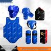 Deguojin Combat Sports Protective Gear & Training Equipment