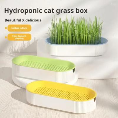 Hydroponický box na trávu pro kočky Catnip Sada květináčů na trávu pro kočky Hydroponická výsadba bez půdy pro snadný růst