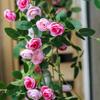 Hochwertige künstliche Rosenranke für florale Wanddekoration