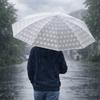 Portable Folding Umbrella Waterproof Transparent Umbrella Cute Automatic Umbrella  Rainy Day