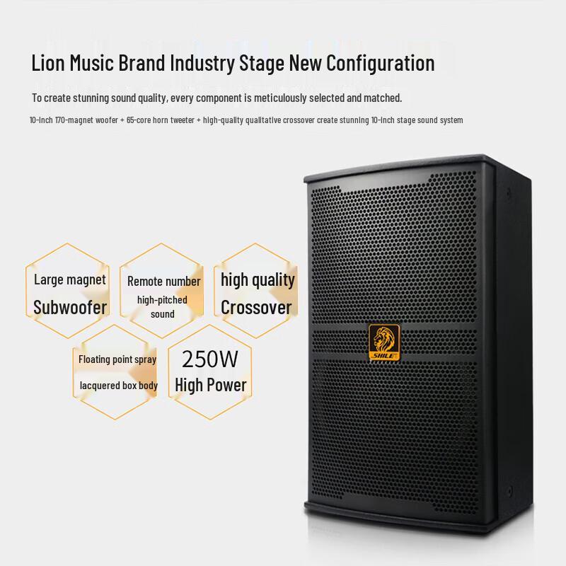 Shile BM-10 10-inch Professional Stage Speaker (CN Version)