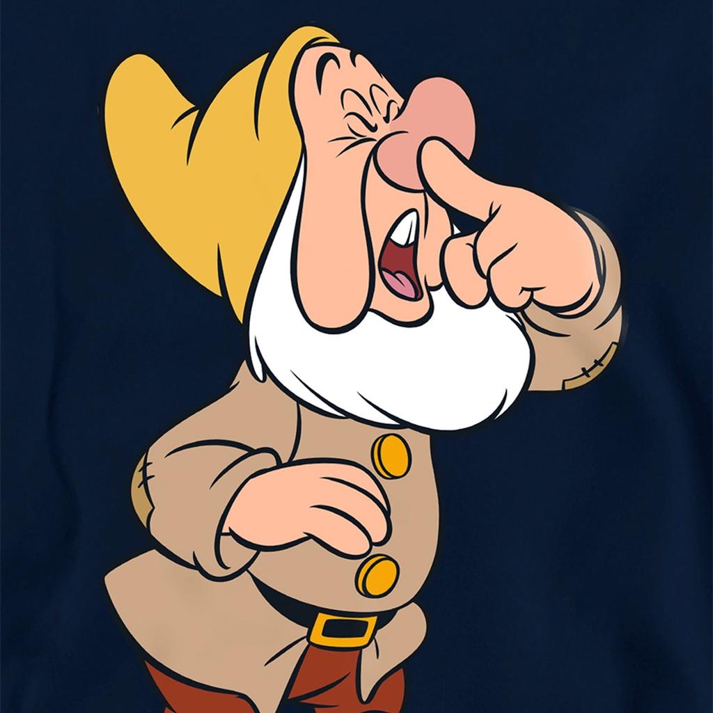 Snow White And The Seven Dwarfs Childrens/Kids Sneezy Hoodie