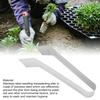 Stainless Steel Transplanting Clamp Smooth Handle Seedling Transplanting Tong  Horticultural Plant