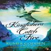 Kingfishers Catch Fire by Rumer Godden Paperback Book 9781844088423