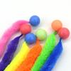 Solid Color Elastic Ball & Caterpillar Teaser Stick Kitten Toy