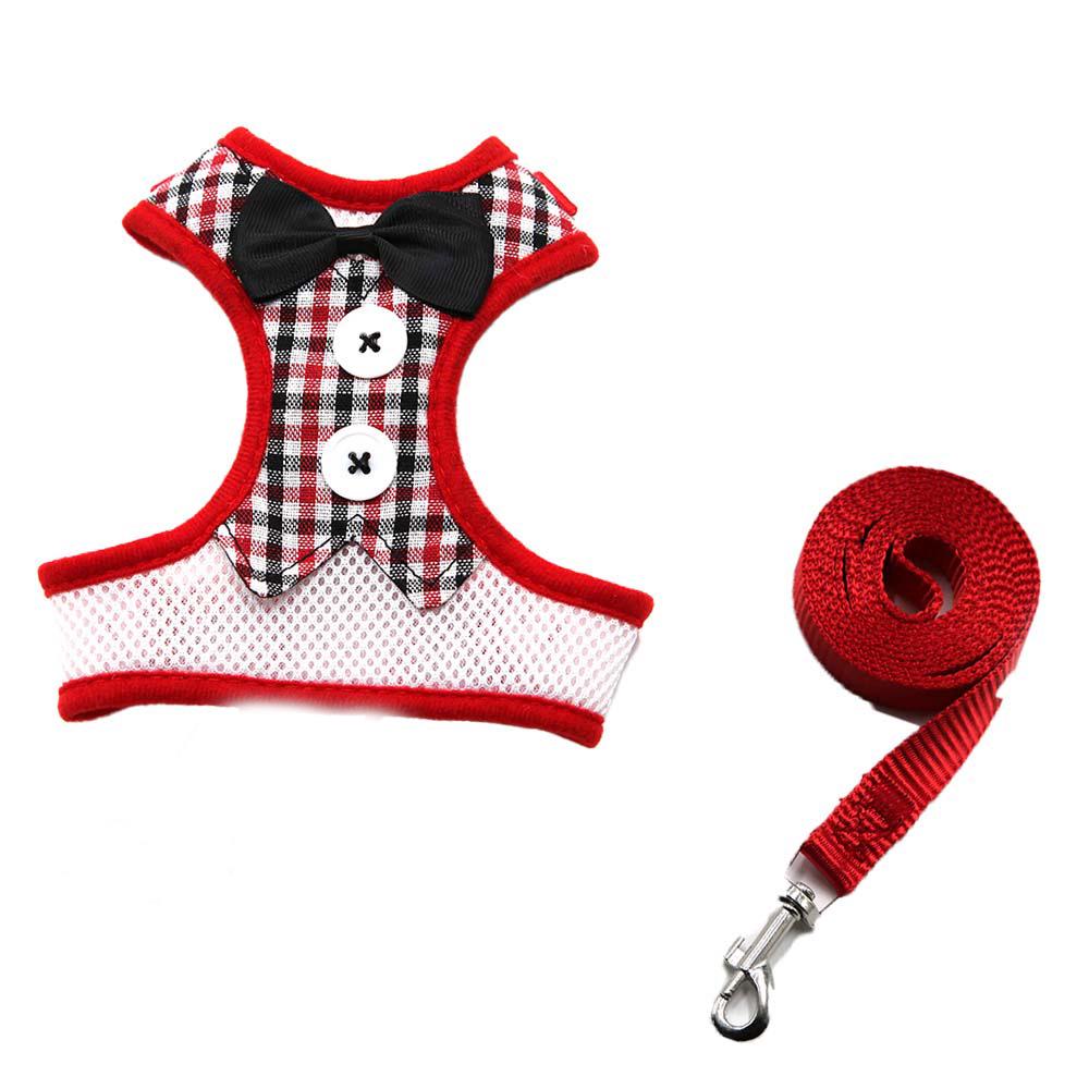 Pet Supplies: Cat & Dog Leashes and Formal Wear for Teddy, Bichon, Schnauzer.