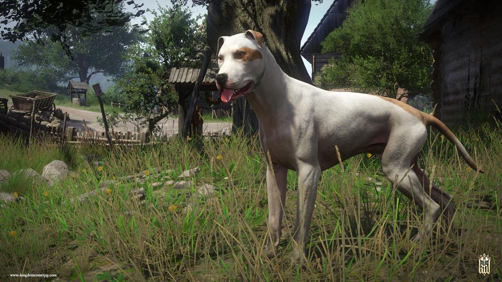 Kingdom Come: Deliverance ROYAL EDITION - Switch