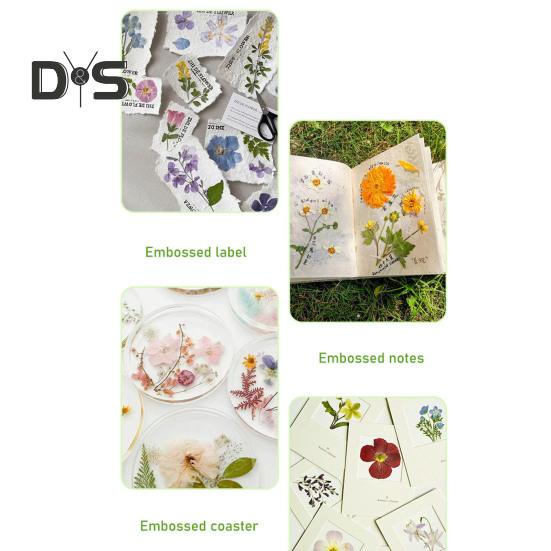 Embosser Flower Press Kit Easy To Use Flower Pressing Collecting Kit DIY Crafts for Preserve Flowers Instantly