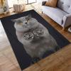 1PC Cute and Handsome Gray Cat Pattern Rugs Living Room Bedroom Carpet Bedside Bathroom Floor Mat Kids Room Non-slip Mat Decor