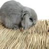Woven for Small Animal Bunny Grass Mat Pet Cage Pad Rabbit Grass Chew Mat Hamster Sleeping Bed