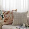 Sofa Living Room Pillow Winter Plush Ins Light Luxury High-end Cushion Pillow Back Cushion Waist Pillow Bay Window Decoration