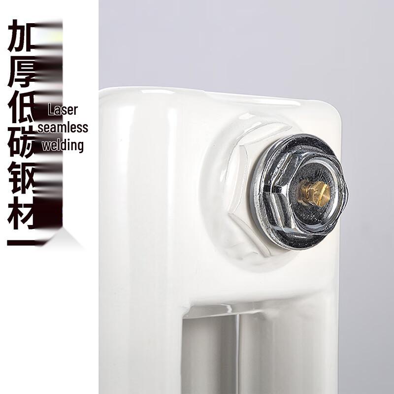 Tongshengda TS6030 Wall-Mounted Steel Hydronic Radiator