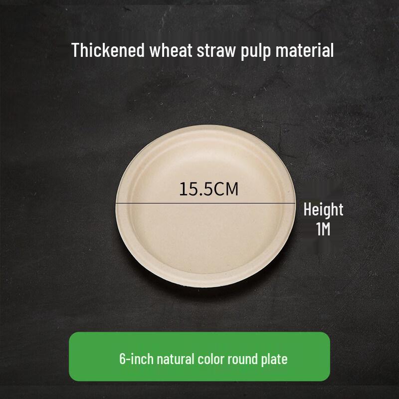 ZISIZ Disposable Divided Plate