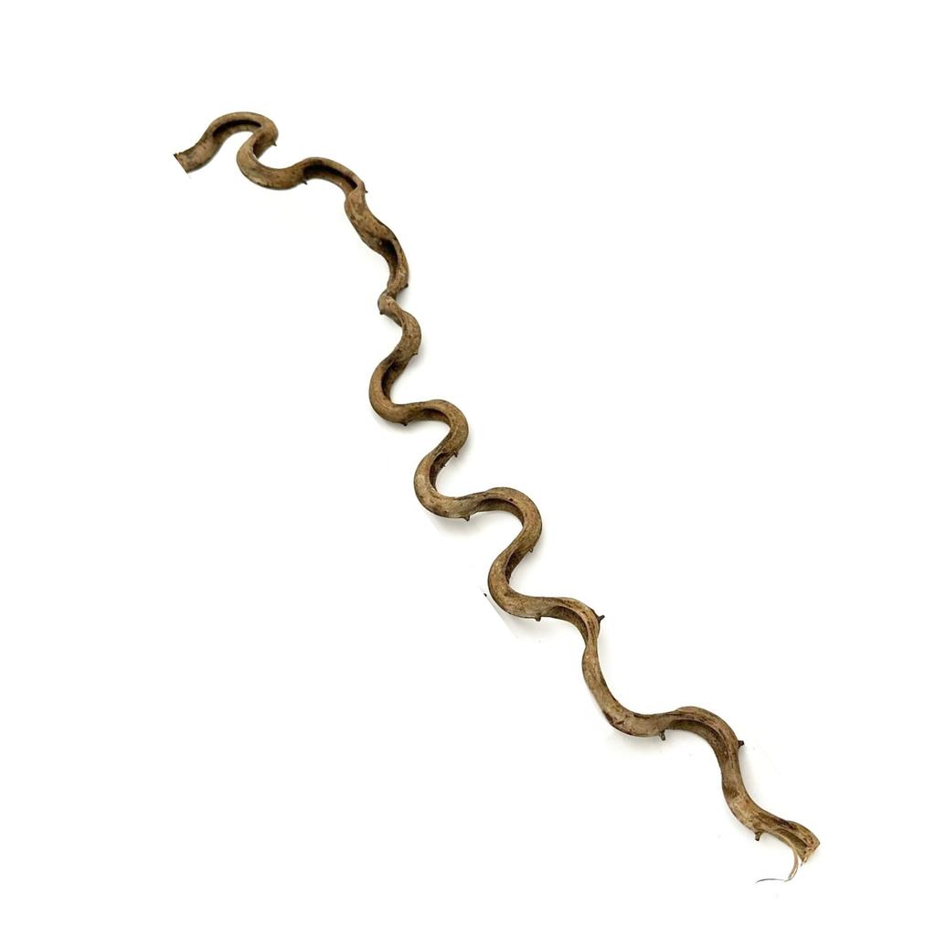 BioThai Liana 1-2cm / 100cm