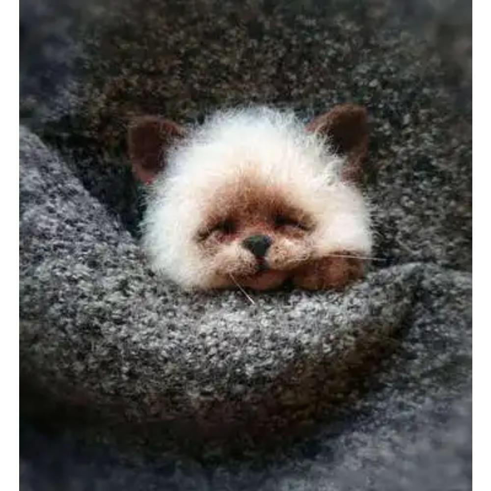 

Шерстяной фетр Поке Ручная работа DIY Материал Кит Шерстяная игла Не готовый Кот Лиса Енот Животное Брошь Плюшевая кукла Женская сумка Подвеска