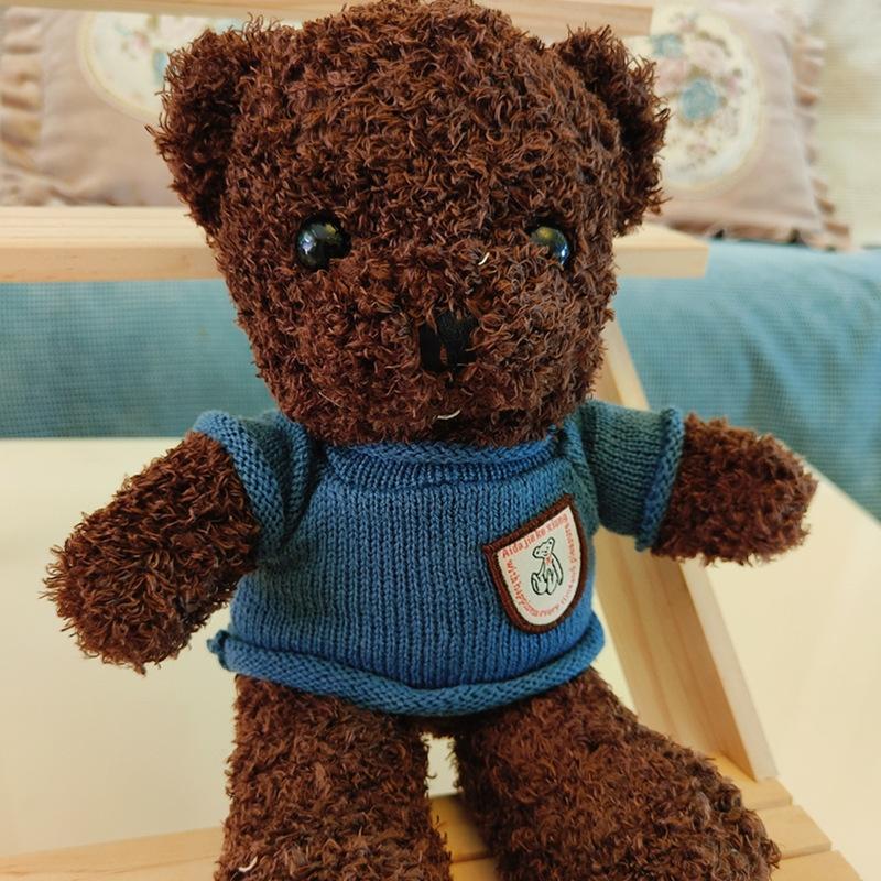 Plush Toy Teddy Bear Doll Plush Toy Doll Gift Animal Bear Doll Gift Throw Pillow