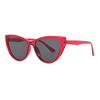 Fashion Cat Eye Sunglass Trendy Female Eyewear Luxury Irregular Frame Popular Women Travelling Sun Glasses Lentes  Mujer