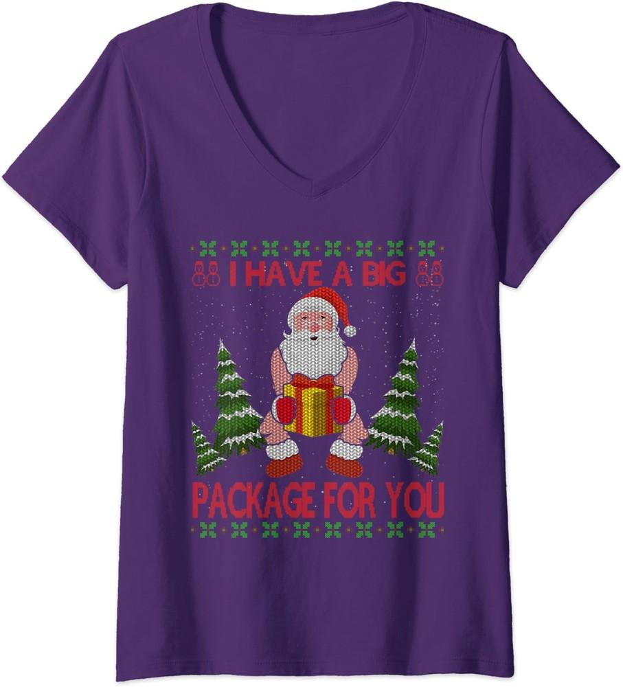 I Have Big Package For You Santa Claus And Huge Box Ladies' V-Neck Tshirt Unisex T-Shirt