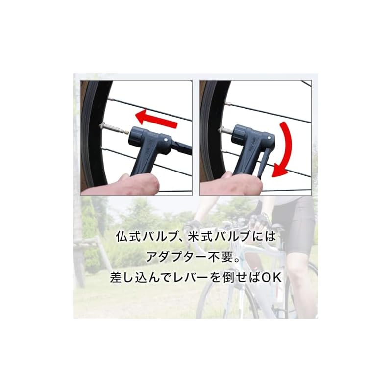 Panaracer Bicycle Air Pump with Long Hose, Pressure Gauge, Compatible with All Valves, Black Resin, BFP-PGAB2-LH