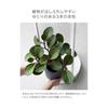 Planter Stand with Casters Tower 2 Tier Planter Stand White Planter Rack Yamazaki Jitsugyo Gardening Rack Flower Stand Garden Rack Pot Holder