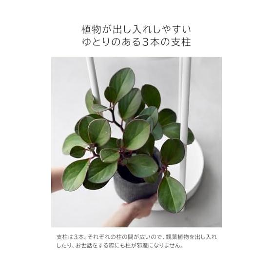 Planter Stand with Casters Tower 2 Tier Planter Stand White Planter Rack Yamazaki Jitsugyo Gardening Rack Flower Stand Garden Rack Pot Holder