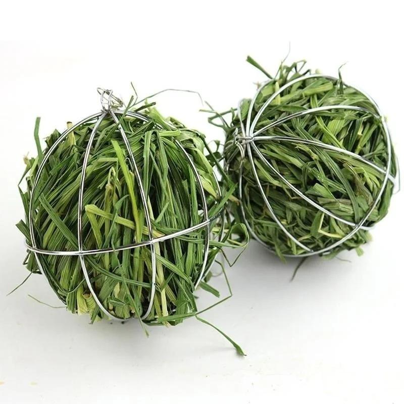 Round Sphere Feed Dispenser Suspendable Plated Hay Rack Ball Pet Toy Guinea Pig Hamster Rabbit Grass Hanging Ball Toy