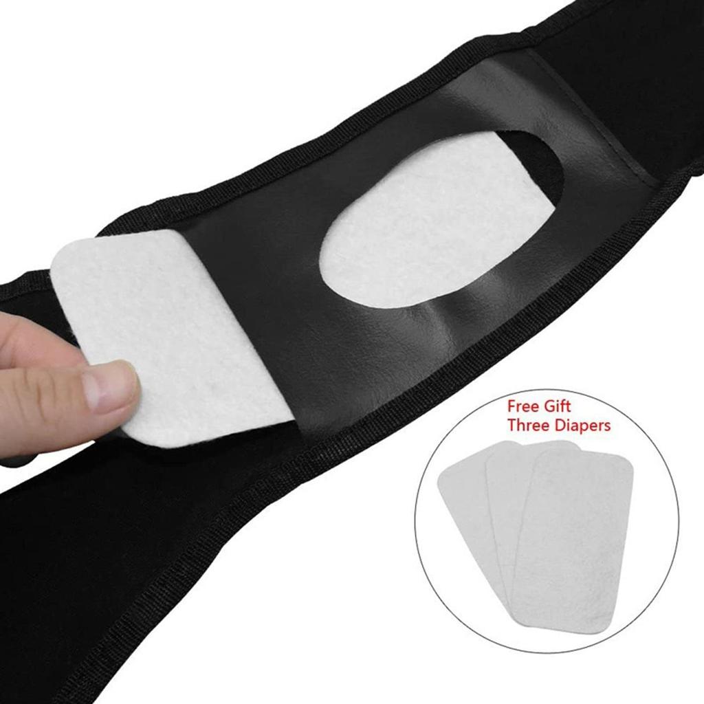 Pet Safety Pants With 3 Cotton Pads Physiological Pants Hygiene Pants Size S-Xxl