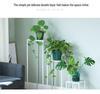 Nordic Gold Iron Art Flower Stand - Floor Standing Plant Rack for Living Room, Balcony, and Succulents.