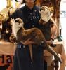 Otter No.3320