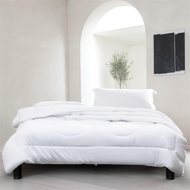 

Mercury Home Textiles Yilan Negative Ion Antibacterial All-Season Quilt