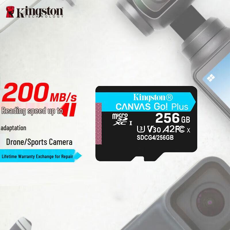 Kingston SDCG4 256GB MicroSD Memory Card