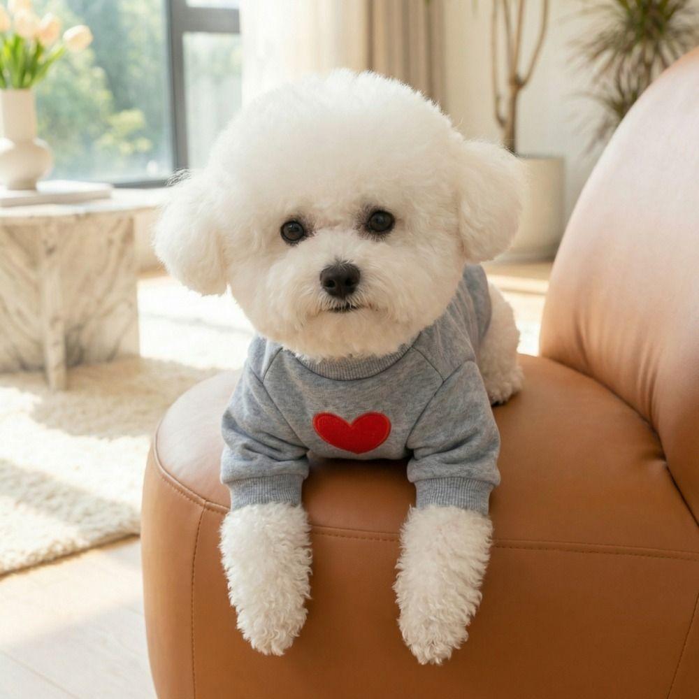 Thickened Dog Love Hoodie Warm Dog Two Leg Clothing Cat Love Clothing  for Cats and Dogs