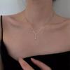 Chic Retro Zircon Tassel Necklace for Women - Autumn Versatile, Light Luxury, Trendy Clavicle Chain