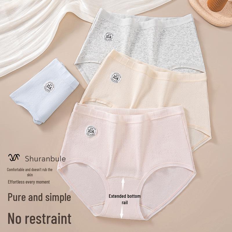 10A Women's Seamless Pure Cotton Antibacterial Briefs - Extended Crotch, Breathable, Plus Size, A Class