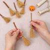 Halloween Decorations: Bundled Pampas Grass Craft Ornaments Diy 14Cm