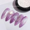 Japanese Nail Art Glitter Highlight Powder Eye Makeup Sticker Polarizing Powder Fairy Fine Powder Light Therapy Nail Ornament Diy