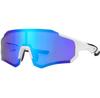Rockbros Blue Polarized Cycling Glasses