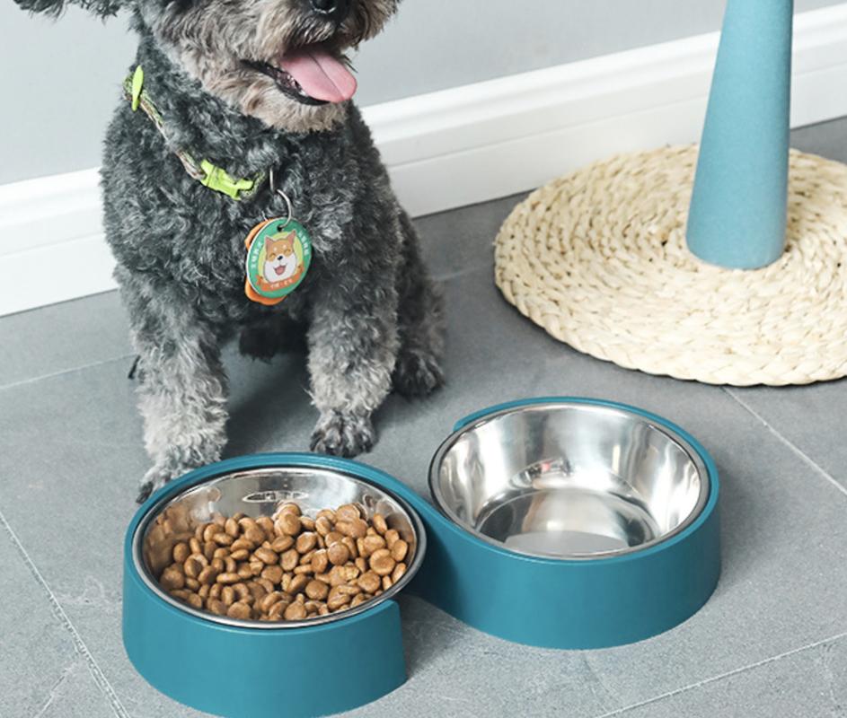 Double Bowls for Dogs Stainless Steel Feed Bowls Water Feeder Feeding Dishes Accessories for Small Dogs Cat Puppy Feeding | Dog Food