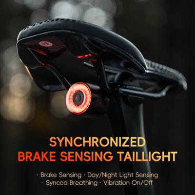 ROCKBROS Same Frequency Sensing Smart Rear Bike Light,USB-C Bicycle Brake Lights