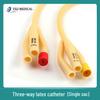 Latex Foley Catheter: Two-Way & Three-Way Urinary Catheter for Cross-Border Export