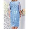 Women's Plus Size Dress Embroidered Lace Slim Knee-length Dress